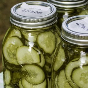 Why is it Important to Go for Bottled and Jarred Packaging Goods? Reasons you Should Know