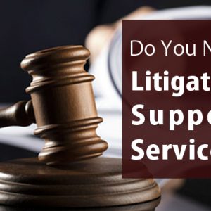 What are litigation services?